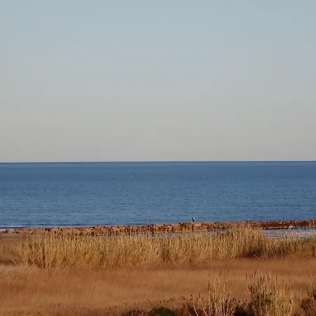 Flag Valencia Massalfassar